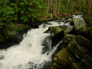 A small waterfall along the Lynn Camp Prong.