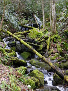 Kristina's photo of a roadside spring.