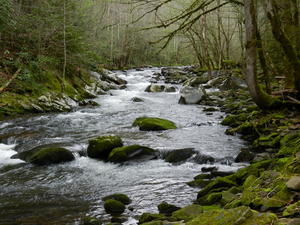 Another vibrant mossy green river.