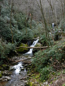 A little cascade along Roaring Fork (creek), with our first glimpse of Grotto Falls way up in the background.