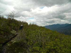 You can see why this mountain was named "Brushy Mountain." Check out the height of the brush compared to Kristina! It was like walking through a jungle--the only thing above us was sky!