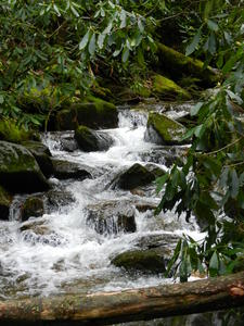 Another cascade just before Grotto Falls.