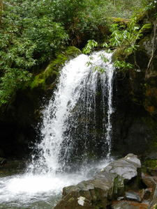 Our first stopping point--Grotto Falls. It was a small falls, and there were LOTS of people everywhere, so we didn't stick around long. 