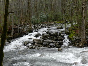 Another river view along the road. It's a good thing they put lots of pull-outs and view point parking along the way!