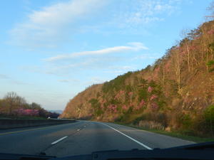 On our drive home, happy and refreshed from the time together out in God's beautiful creation!