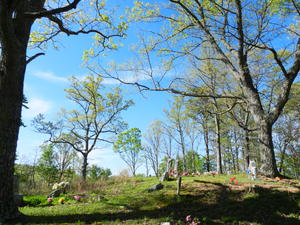 A cute little cemetery along a forest road. 