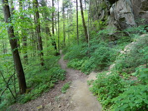 We went on a hike with Amy down to Yahoo Falls.