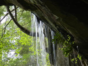 Looking up at the top of the falls.