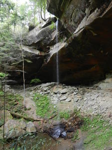 Yahoo Falls--flowing quite nicely.