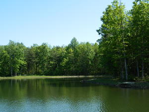 The pond was so pretty!