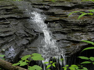 Closer up of the edge of the falls.