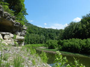 From up there, we could see all the fish and turtles swimming in the water below us.