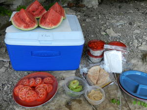 That food tasted SOOOOO good! Pasta salad, Avocado/Tomato Sandwiches, Hummus, and Watermelon!