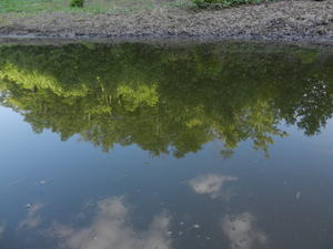 Check out the reflection in the water!