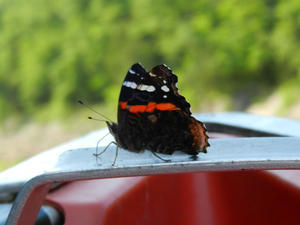 Kristina had fun getting some close-up views of it.