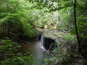 Looking down at the falls from the upper trail.