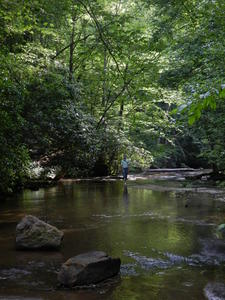 Wading up the creek above the falls. The water was COLD!