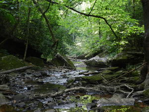 Looking down the creek beyond the falls.