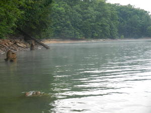 It was so pretty--the camera doesn't take it all in.