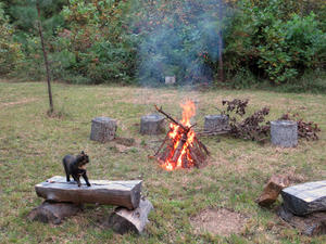 We ended the Sabbath evening with a campfire and hot dog roast in our woods. 