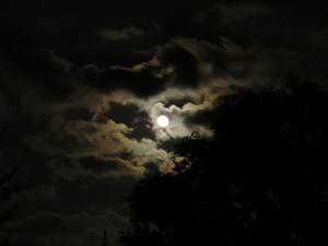 The moon came up full and clear, so when we finished, we jumped in the car and headed to Cumberland Falls to see the moonbow. 