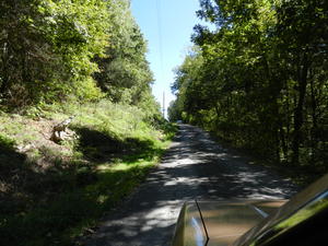 When Kristina and Siobhan came back from Women's retreat, we all headed out to the fire tower to meet the homemakers. 