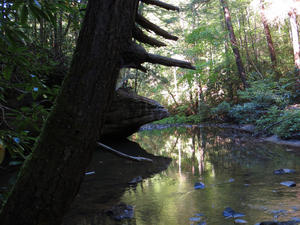 It was a beautiful day to hike!