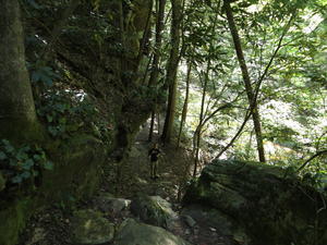 Levi on the trail.