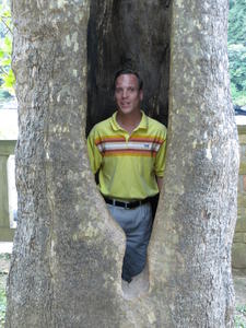 Sean in the tree at Cumberland Falls.