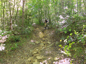 They did some serious mountain biking on these trails!