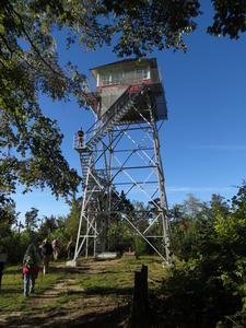 Our first view of the fire tower from the trail.