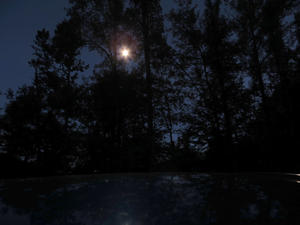 The moon came out before we got back to the car, and we hiked in the dark with flash lights.