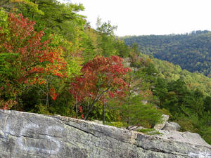 The fall colors were just beginning.