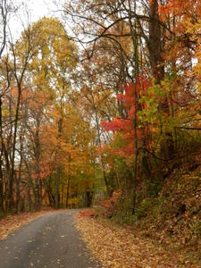 The reds and the oranges were amazing!