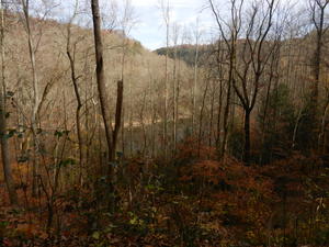 The leaves had mostly fallen by now, but there were still fall colors. 