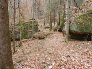 The trail was really neat! 