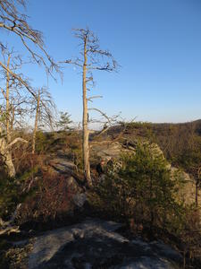 Daniels view from the top of the arch.
