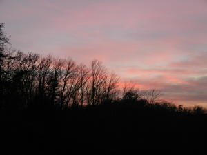 The colors were so pretty! 