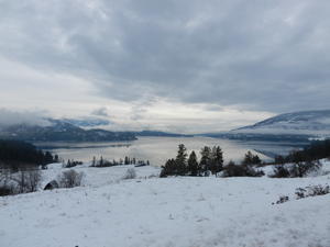 We went to visit some friends one afternoon, and took pictures along the Columbia River.