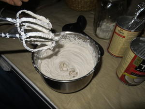 Finished! We used coconut milk, salt, vanilla, and stevia. 