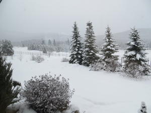 The next morning we woke up to no electricity and a total winter wonderland! It had snowed over 20 inches in 24 hours!