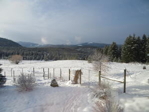 Some of the mountains and snow scenery around their place.