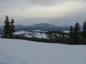 Afternoon hike with friends on Christmas day.