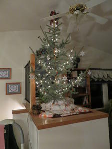 Kristina's parents cut down a cute tree from their woods for a Christmas tree.