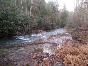 Beautiful creek down near our place.