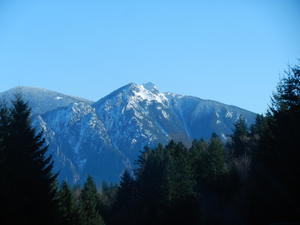 The mountains with the blue sky background and gorgeous sunshine were breathtaking!