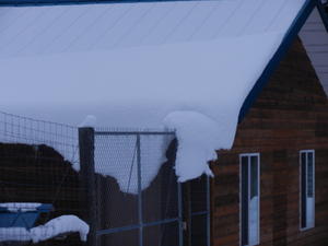 The snow was still hanging over the fence, frozen in place!