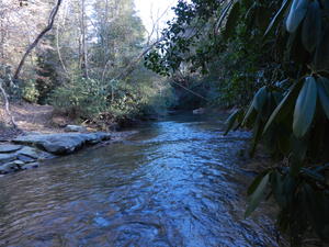 Hiking through the woods behind our place.