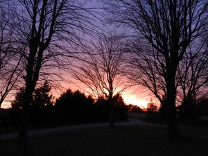 Sunset in Daniel's parents' front yard.