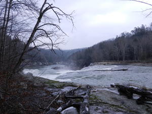 We took Kristina's parents on a hike to Eagle Falls to see the ice, after an ice storm.